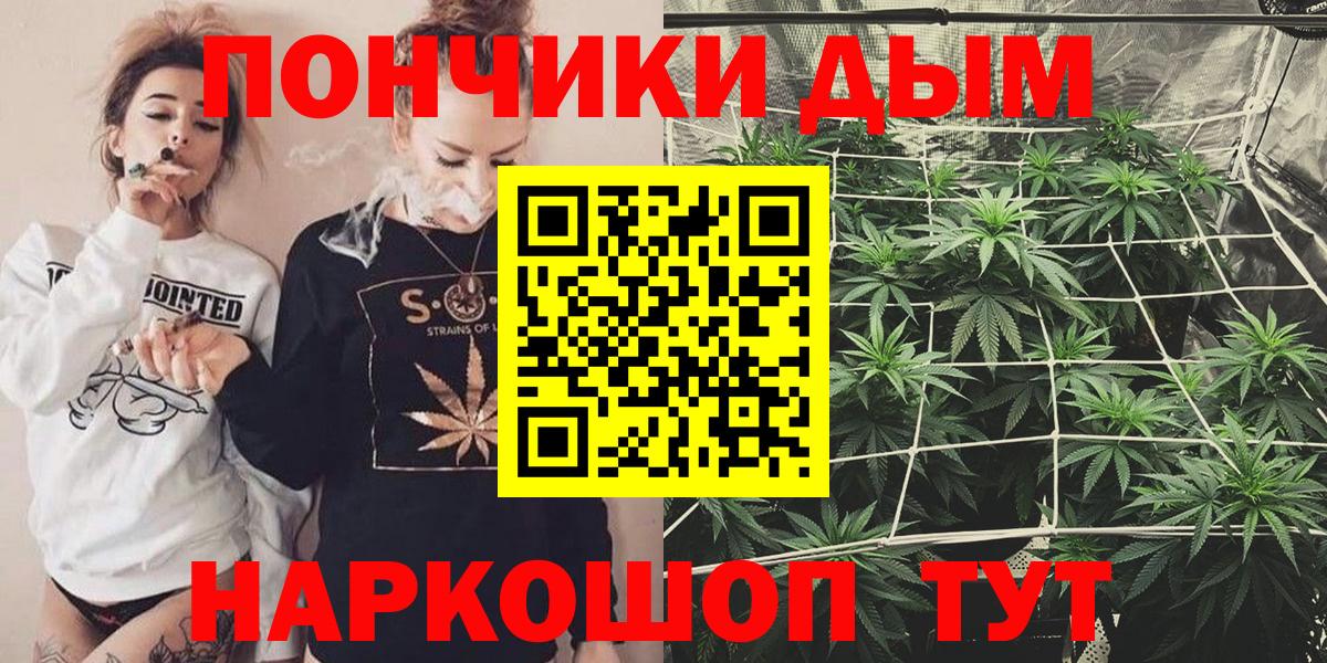 Бошки марихуана сатива Полысаево
